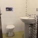 Aleea Privighetorilor, Gradina Zoologica,